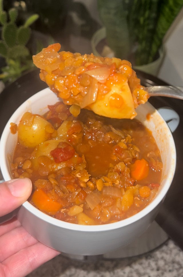 Slow Cooker High Protein Lentil Veggie Stew Flavor God